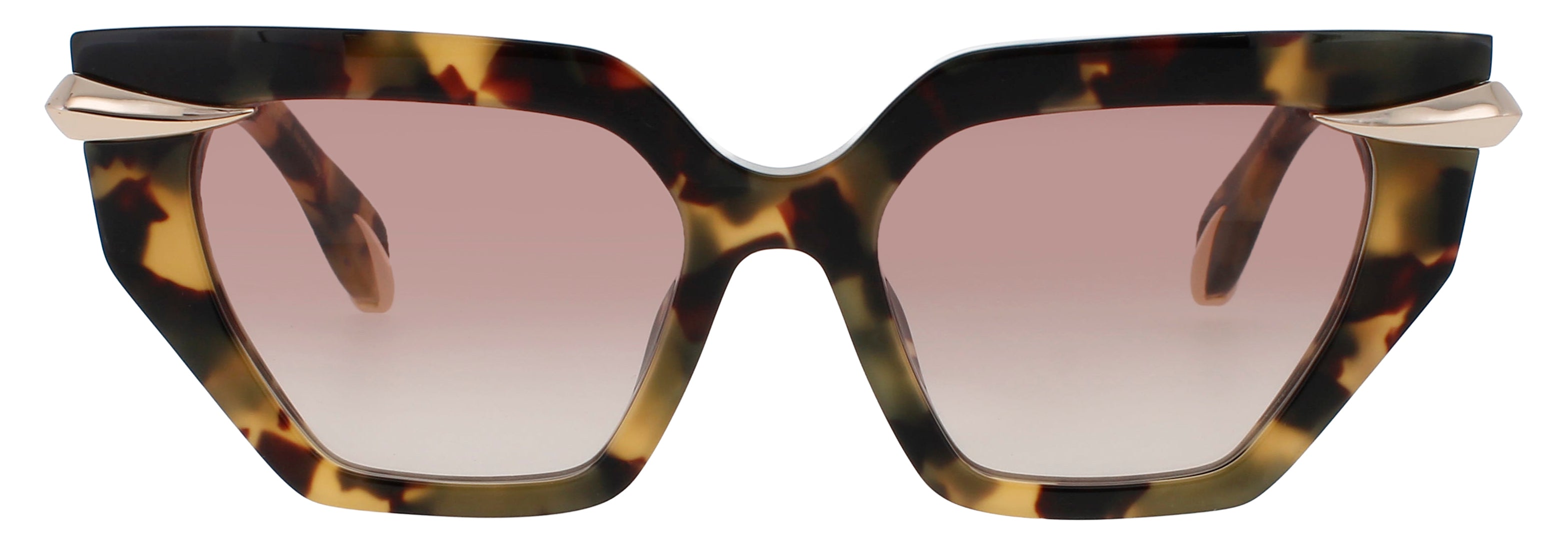 Roberto Cavalli Src001m Eyeglasses by ModaFrames