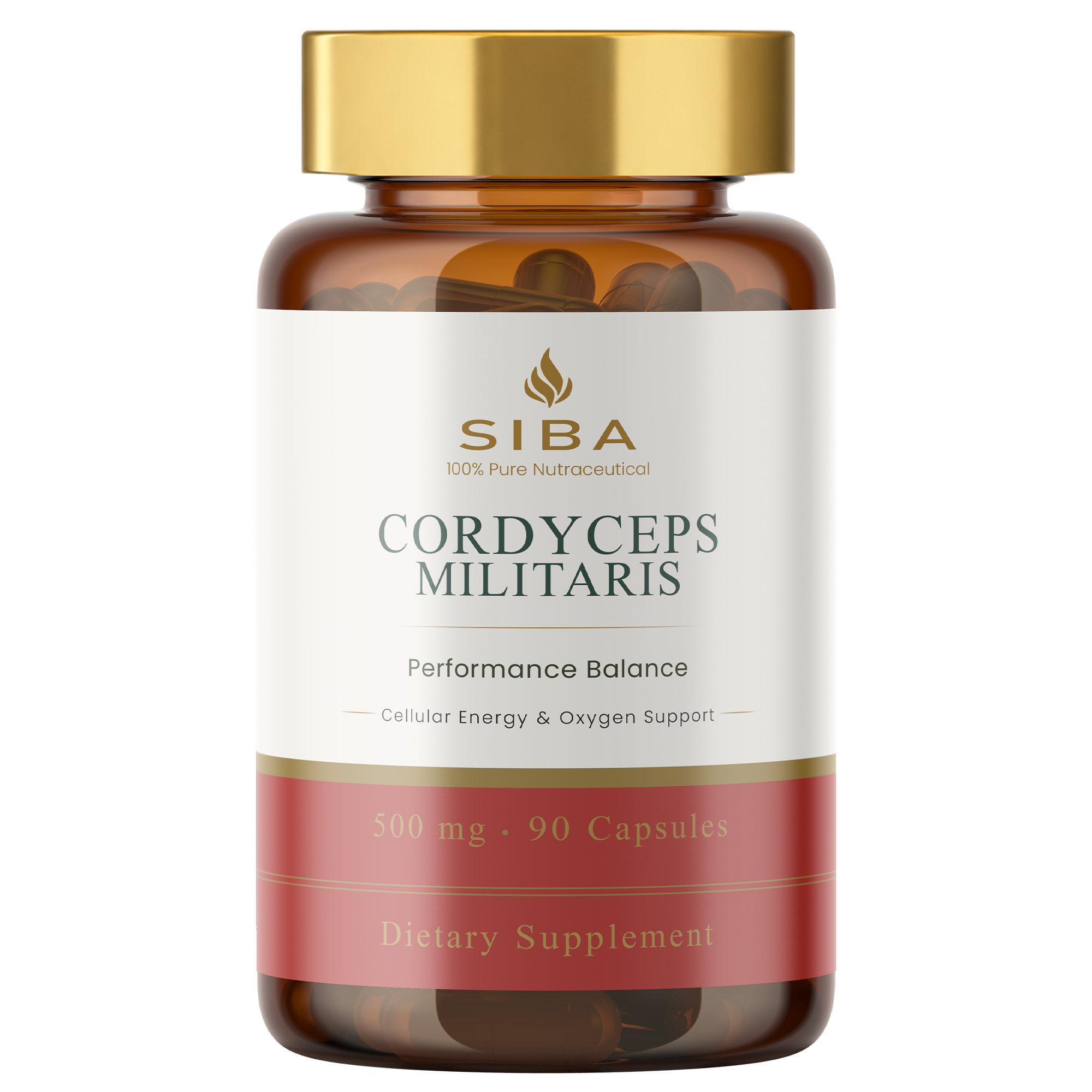 Cordyceps Militaris Mushroom Capsules by Siba Vitamins Store