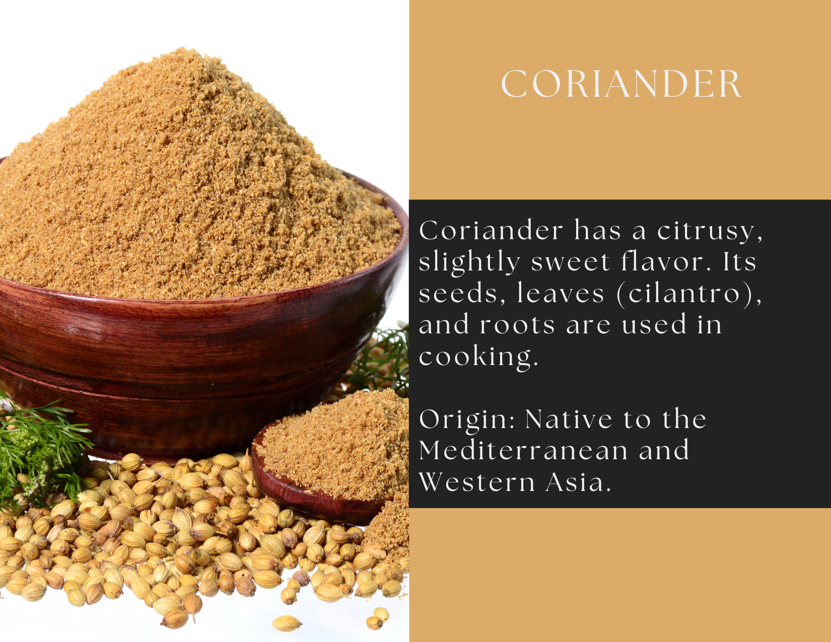 Coriander Powder by Spice Wheel