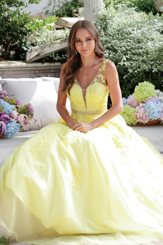 Juliet 224 V-Neck and Back Embroidered Tulle A-Line Ball Gown by DiscountDressShop