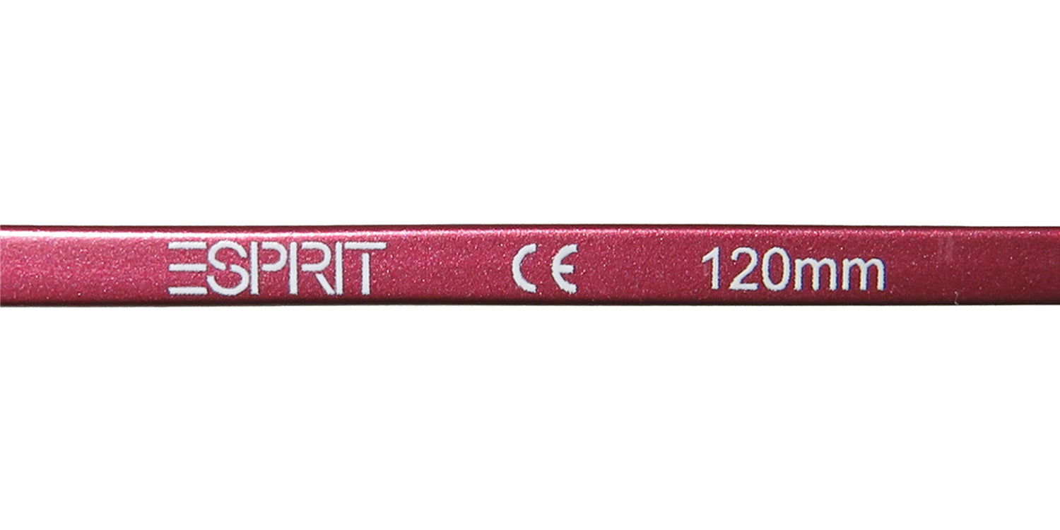 Esprit 17375 Eyeglasses by ModaFrames