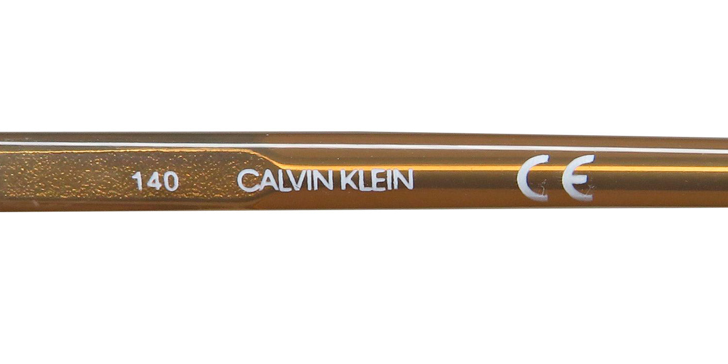 Calvin Klein Ck19531 Eyeglasses by ModaFrames