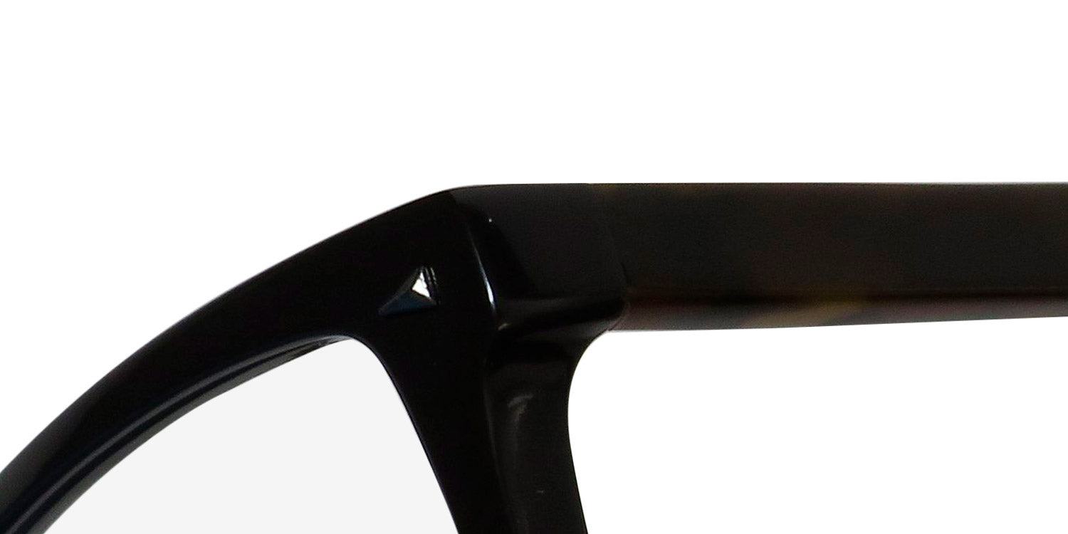 Tapout Tap836 Eyeglasses by ModaFrames
