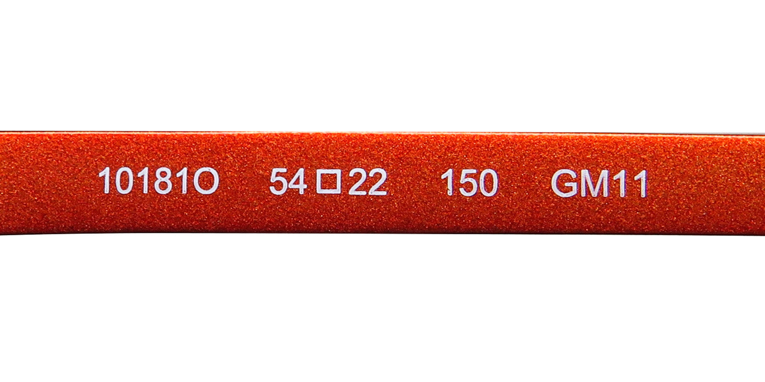 Morel Oga 10181o Eyeglasses by ModaFrames