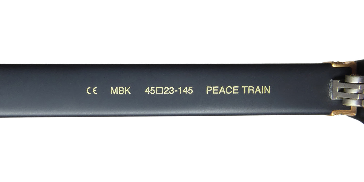 Shamballa Peace Train Sunglasses by ModaFrames