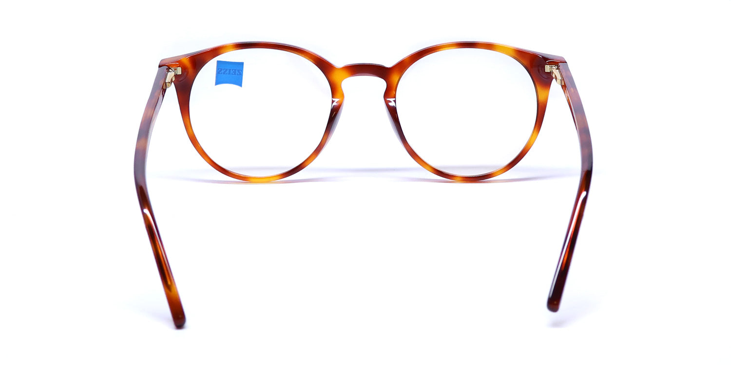 Zeiss Zs22501 Eyeglasses by ModaFrames