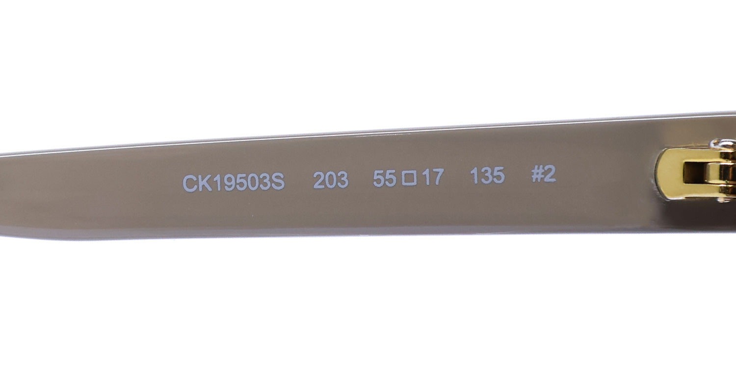 Calvin Klein Ck19503s Sunglasses by ModaFrames