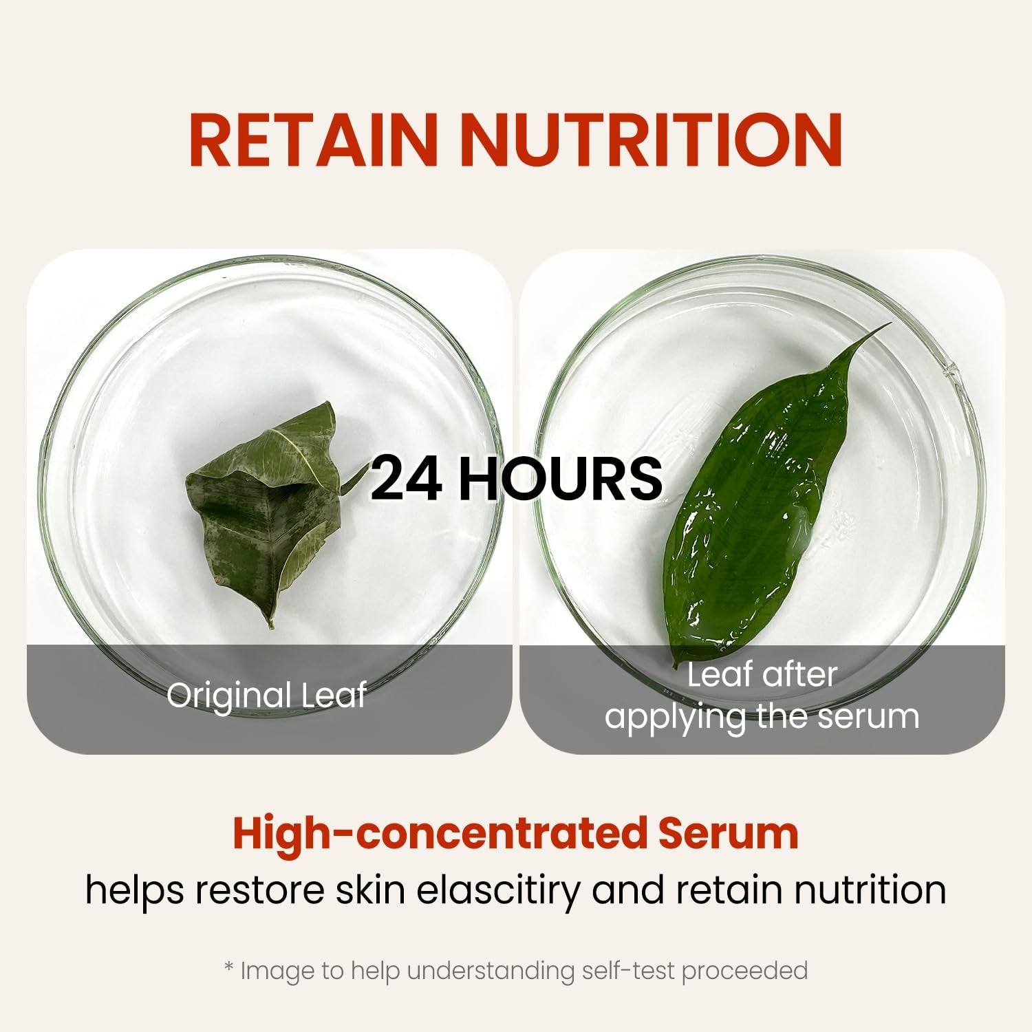 Wrinkle Supreme Serum 0.67 Fl. Oz. Trial-Size, Korean Red Ginseng, Mushrooms | Firming, Lifting, Fine Lines | Korean Skin Care, K-Beauty, 20Ml by Korean Skin Care