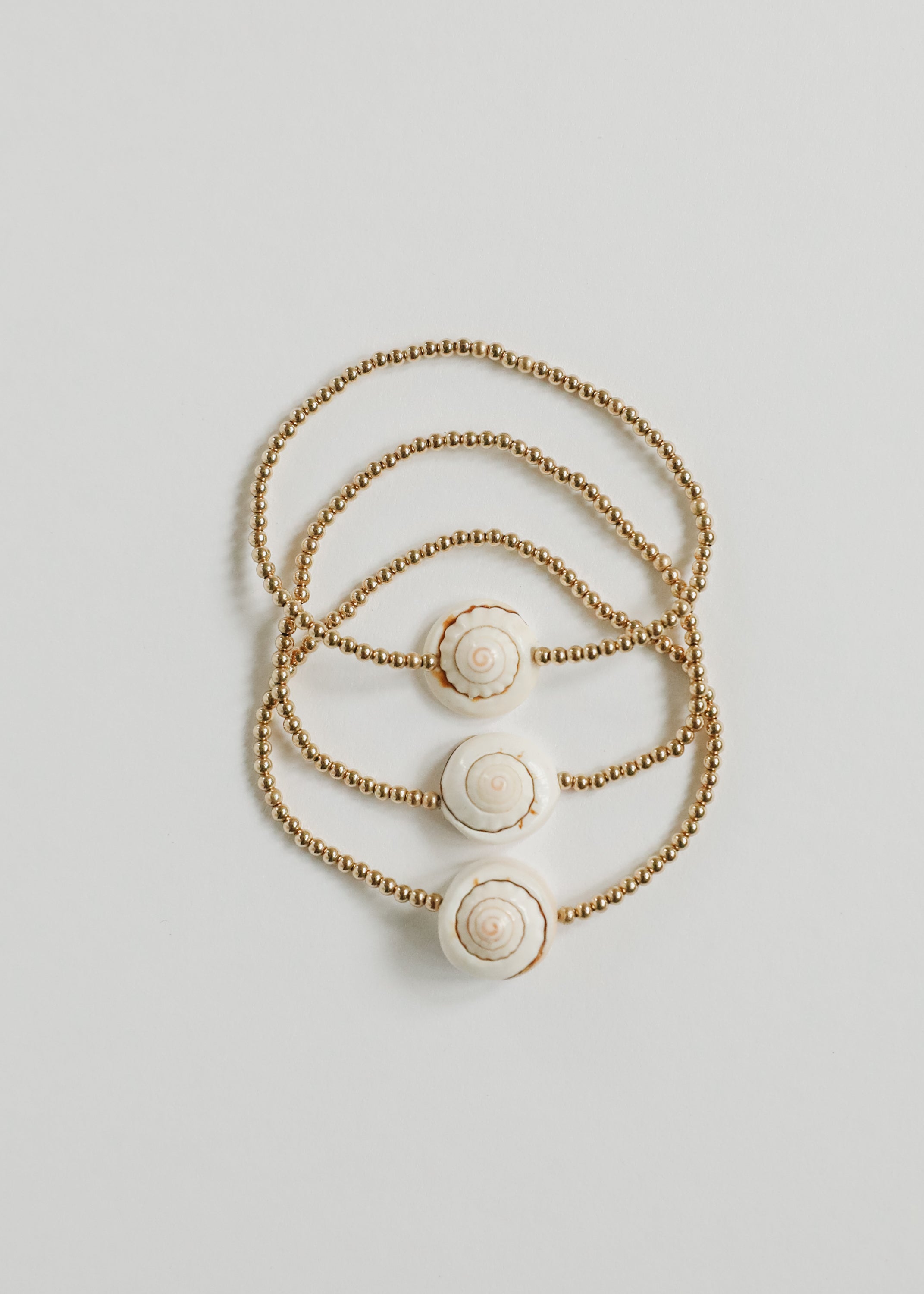 Dainty 14K Gold Filled + Sea Shell || Stretch Anklet or Bracelet by CanyonLeaf