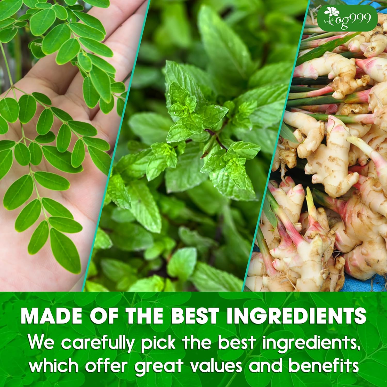 Super Moringa Herbal Tea, Improve Digestion, Support Brain, Weight, Skin and Sleep, Eco-Conscious Tea Bags by FreshDrinkUS - Natural and Premium Herbal Tea