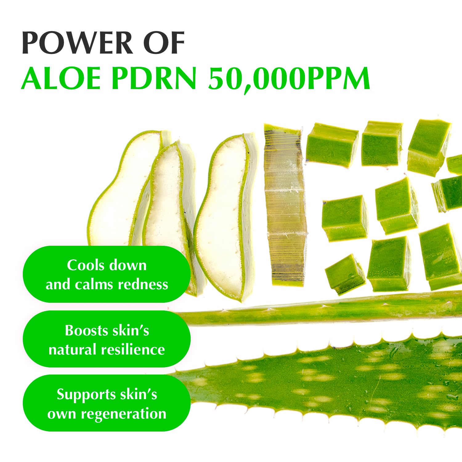EQQUALBERRY Aloe PDRN Calming Serum by AsiaBeautyMall