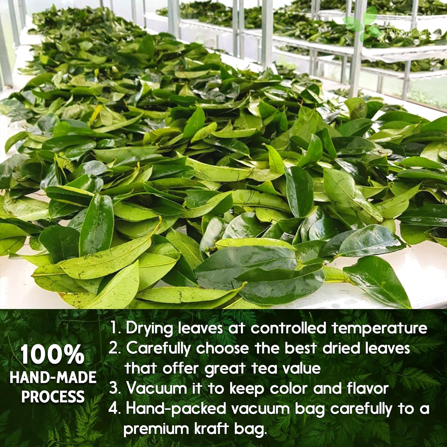 Premium Soursop Leaves Tea bags, Dried Soursop Leaves, Soursop Leaf Powder, Guanabana Leaves Tea, Hoja Guanabana Tea by FreshDrinkUS - Natural and Premium Herbal Tea