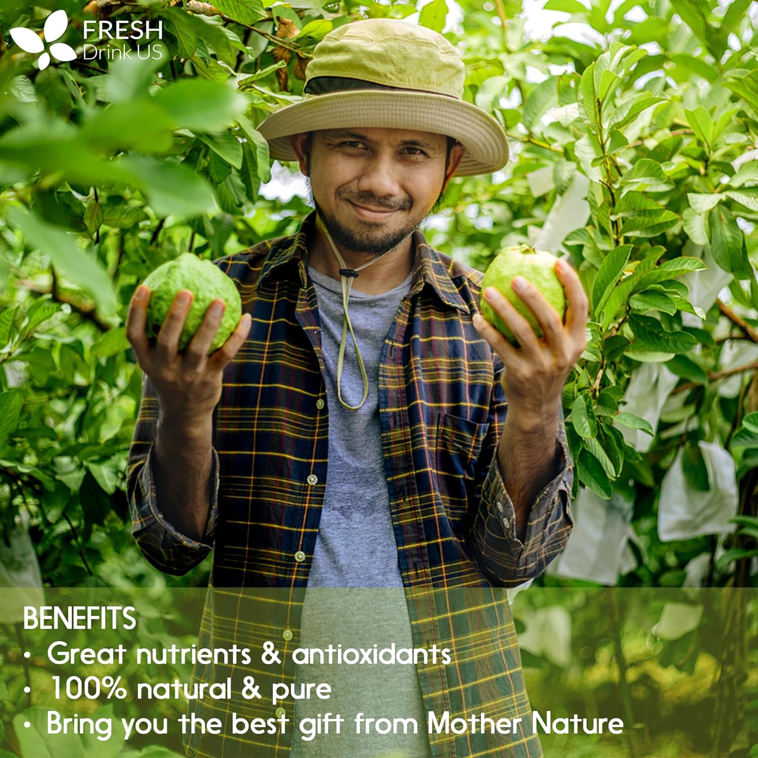 Natural Guava Leaves, Whole Dried Leaves, Cut-and-Sifted Guava leaves, 100% Pure from Guava Leaves, Natural Guava Loose Leaf Herbal Tea, No Additives, No Caffeine, Vegan by FreshDrinkUS - Natural and Premium Herbal Tea