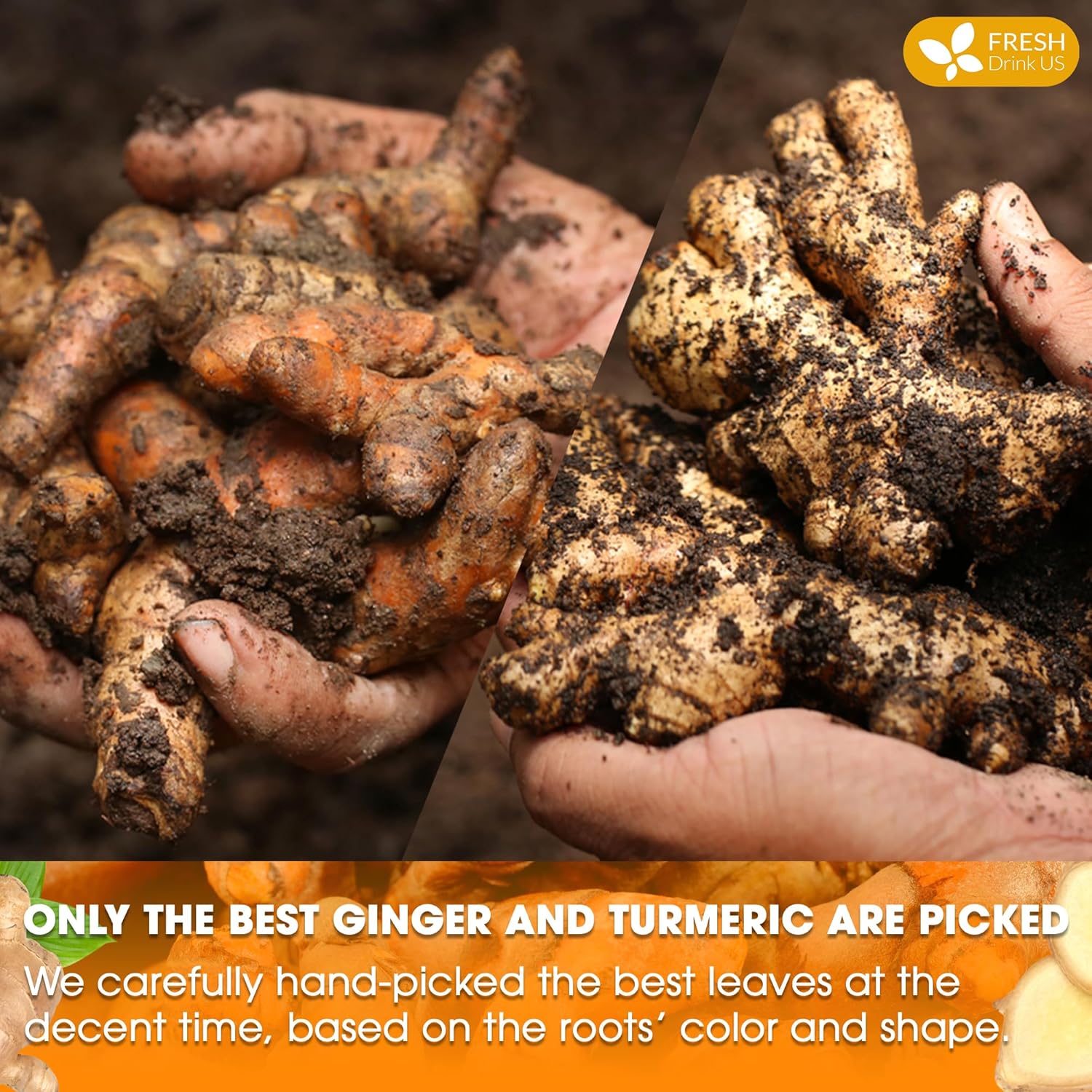 Premium Ginger Turmeric Tea Bags, Hand-made Blend of Ginger and Turmeric Herbal Tea, Eco-conscious Tea Bags. No Sugar, No Caffeine, No Gluten, Vegan. by FreshDrinkUS - Natural and Premium Herbal Tea