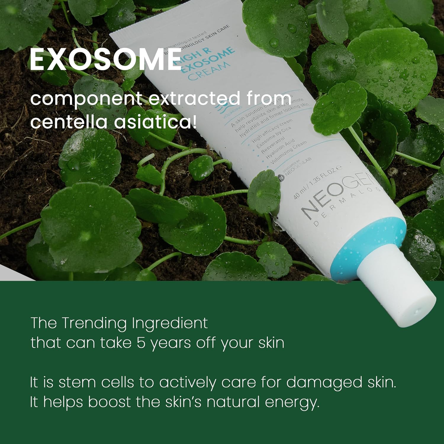 NEOGEN Dermalogy High R Exosome Cream by AsiaBeautyMall