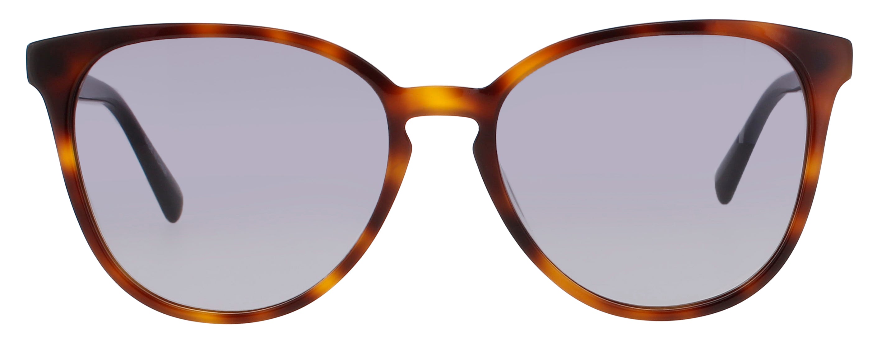 Longchamp Lo647s Sunglasses by ModaFrames