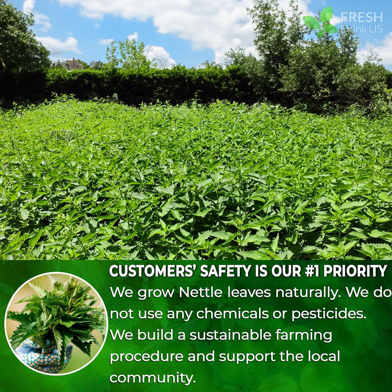 Premium Nettle Leaf Tea Bags, 100% Natural & Pure, Stinging Nettle Leaf Tea, Nettle Leaf Tea, Burn Nettle, Stinging Nettle, Nettle Tea, Stinger Tea, No Sugar/Caffeine & Gluten, Vegan by FreshDrinkUS - Natural and Premium Herbal Tea