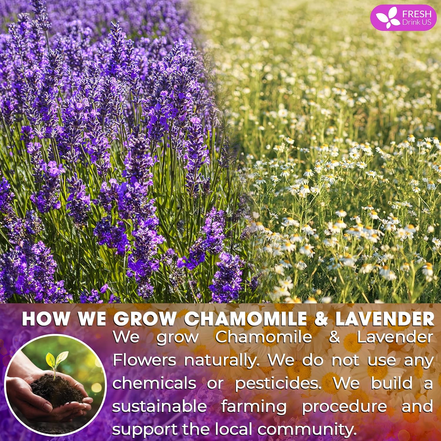 Premium Chamomile Lavender Tea Bags, Eco-conscious Tea Bags. No Sugar, No Caffeine, No Gluten, Vegan. by FreshDrinkUS - Natural and Premium Herbal Tea
