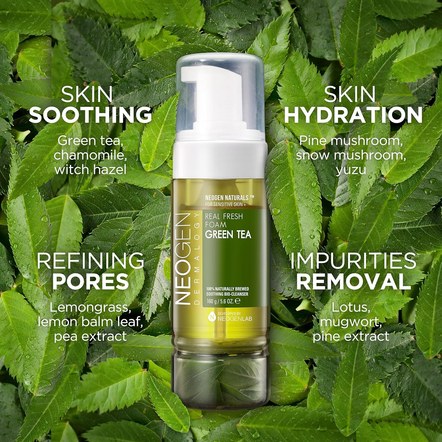 NEOGEN Dermalogy Real Fresh Foam Green Tea by AsiaBeautyMall