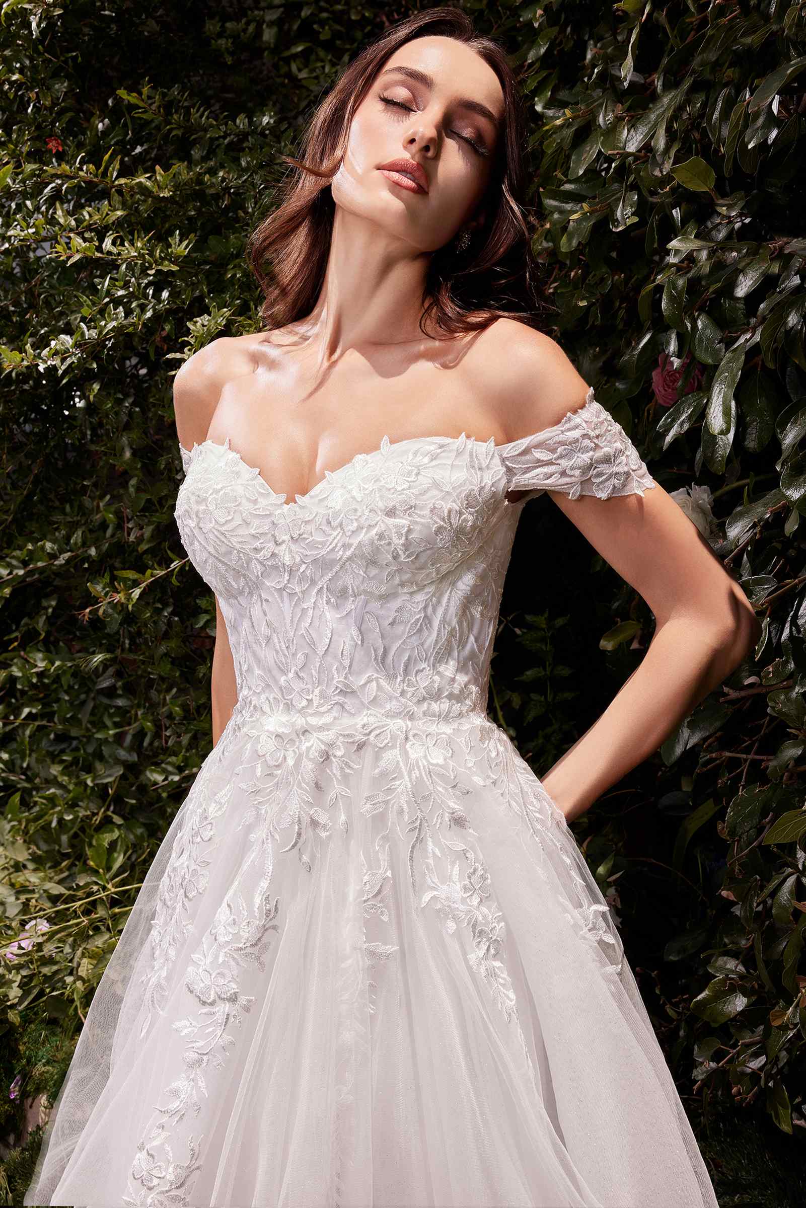Ladivine C159W Off The Shoulder A-Line Lace & Tulle Wedding Dress by DiscountDressShop
