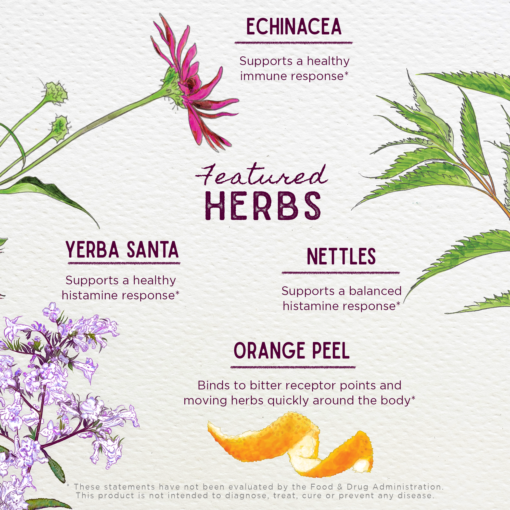 Kick-Ass Allergy & Sinus, Soother by WishGarden Herbs