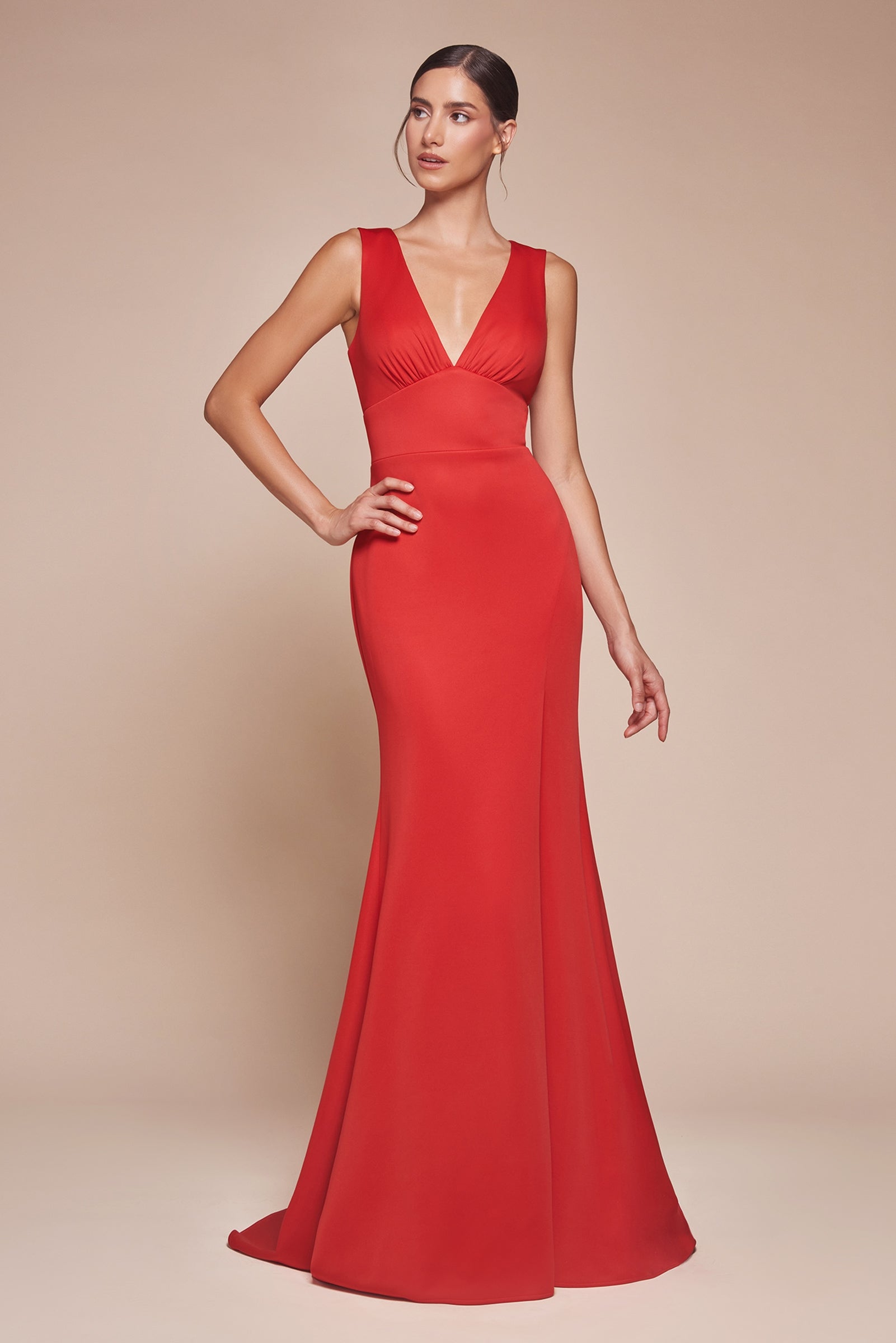 Ladivine CH395 Long Sleeveless V-Neckline Chiffon Dress by DiscountDressShop