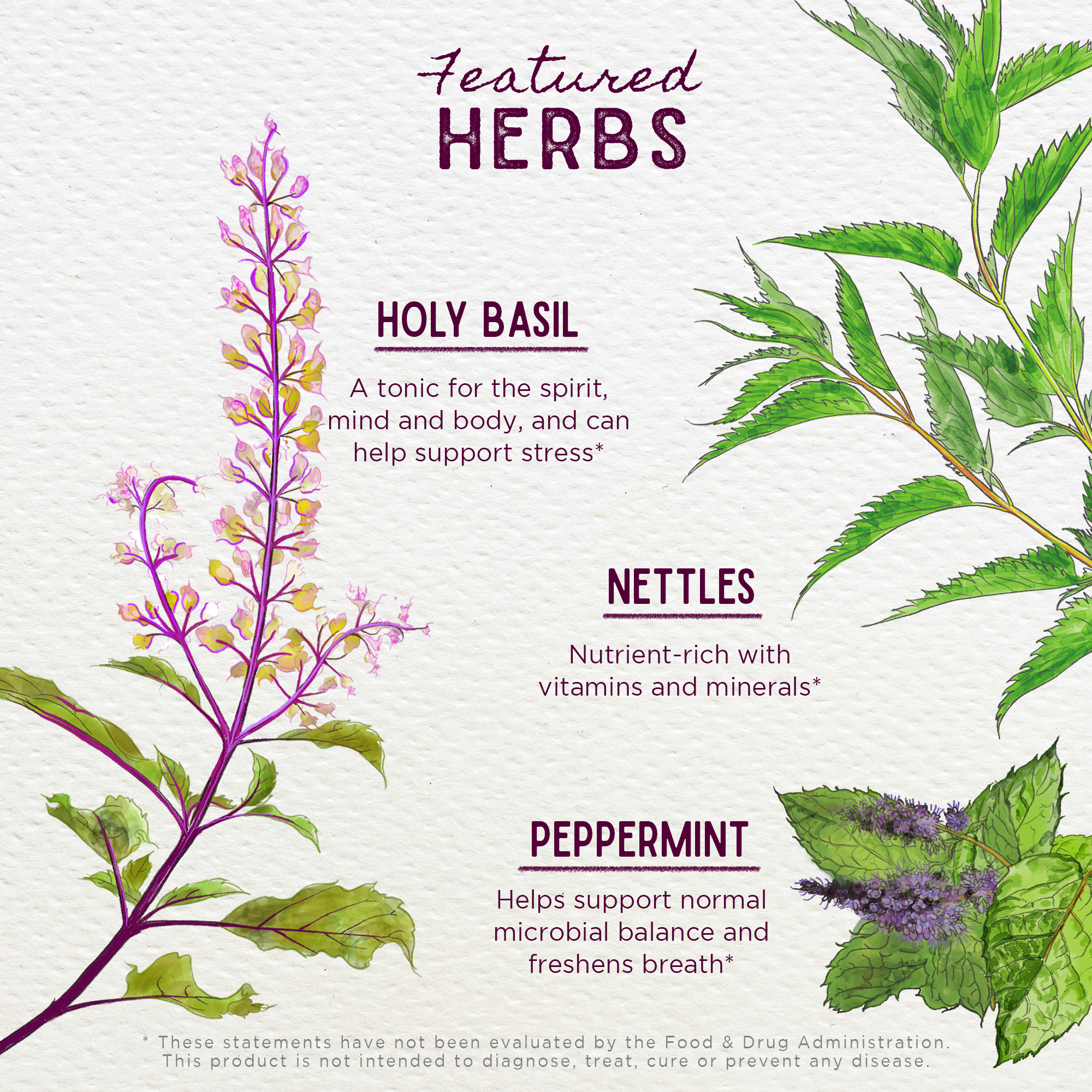 Chlorophyll & Friends by WishGarden Herbs