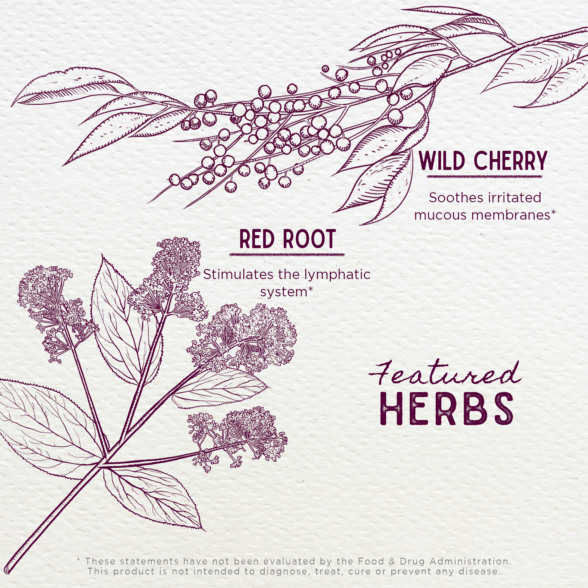 Kick-It Cough, Soothing & Quieting For Kids by WishGarden Herbs