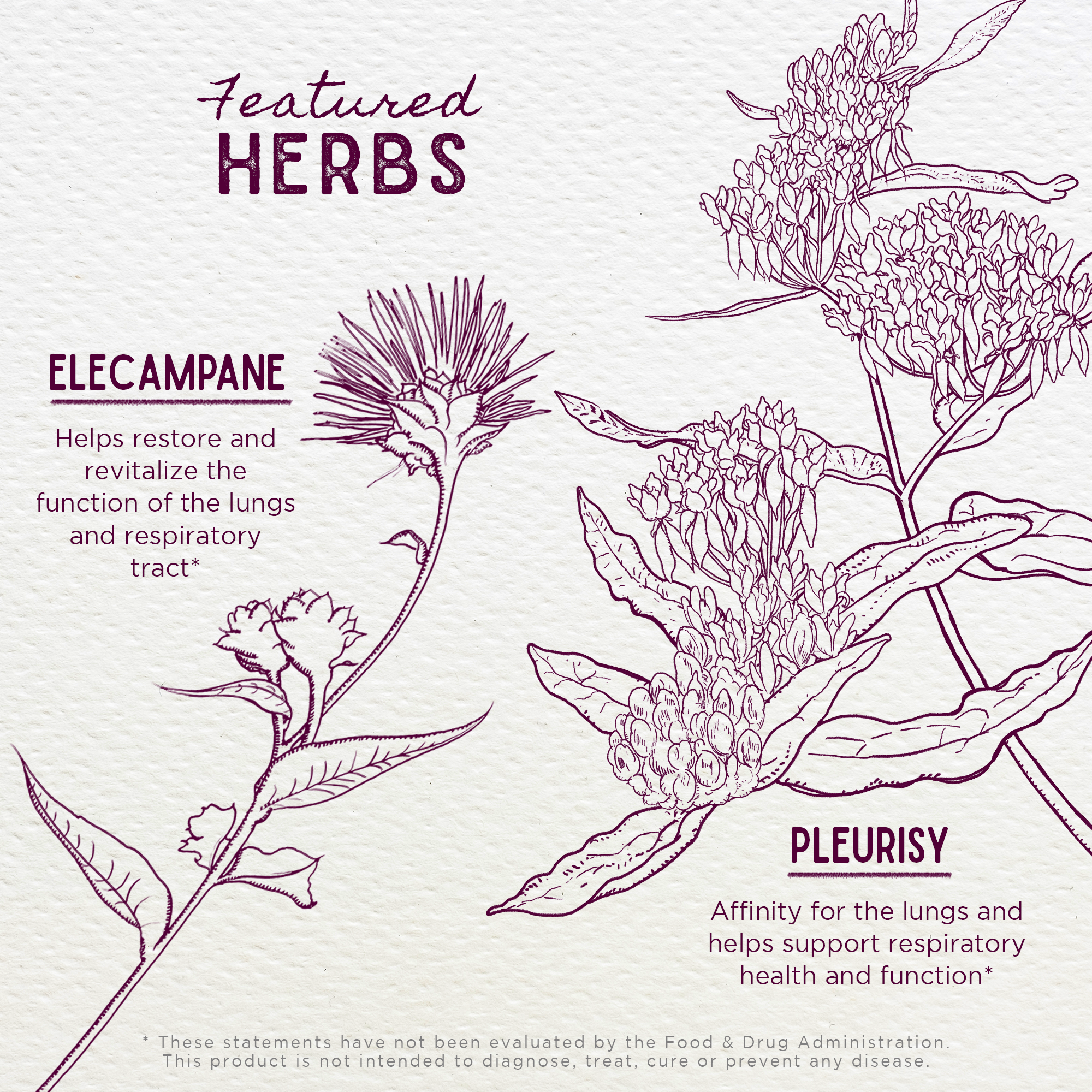 Serious Cough, Soothing & Quieting by WishGarden Herbs