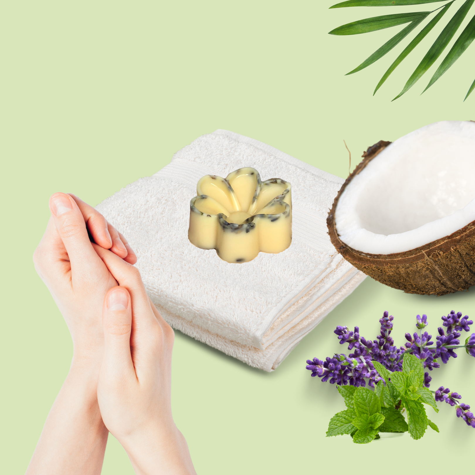 Flower Shaped Lotion Bar by Hippotanicals