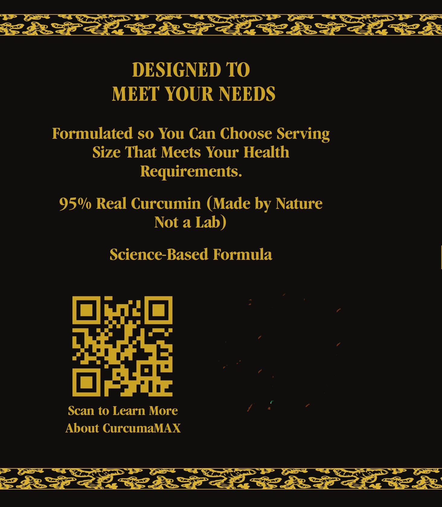 CurcumaMAX Fermented Turmeric Powder Feel the Transformative Power Enhanced with Additional Curcumin by America&