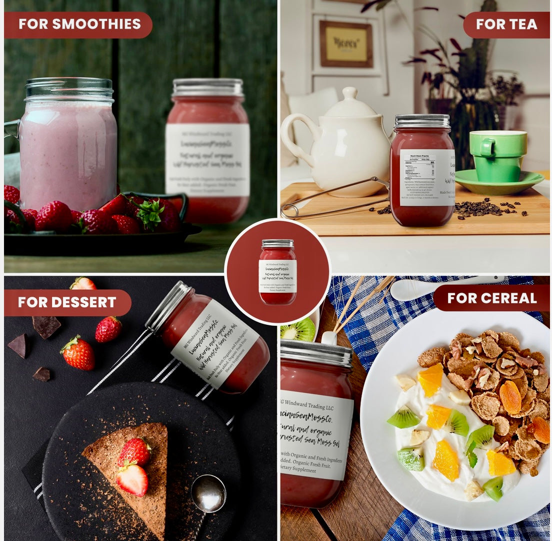 Organic Wellness Warrior Sea Moss Gel Bundle by Seamoss Global
