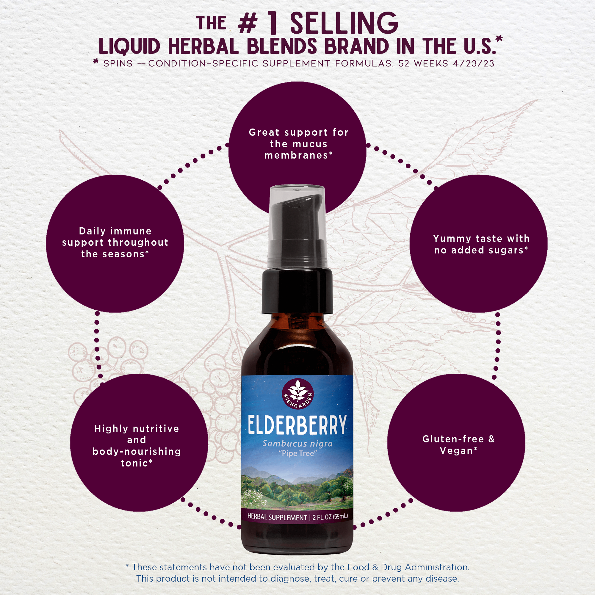 Elderberry by WishGarden Herbs