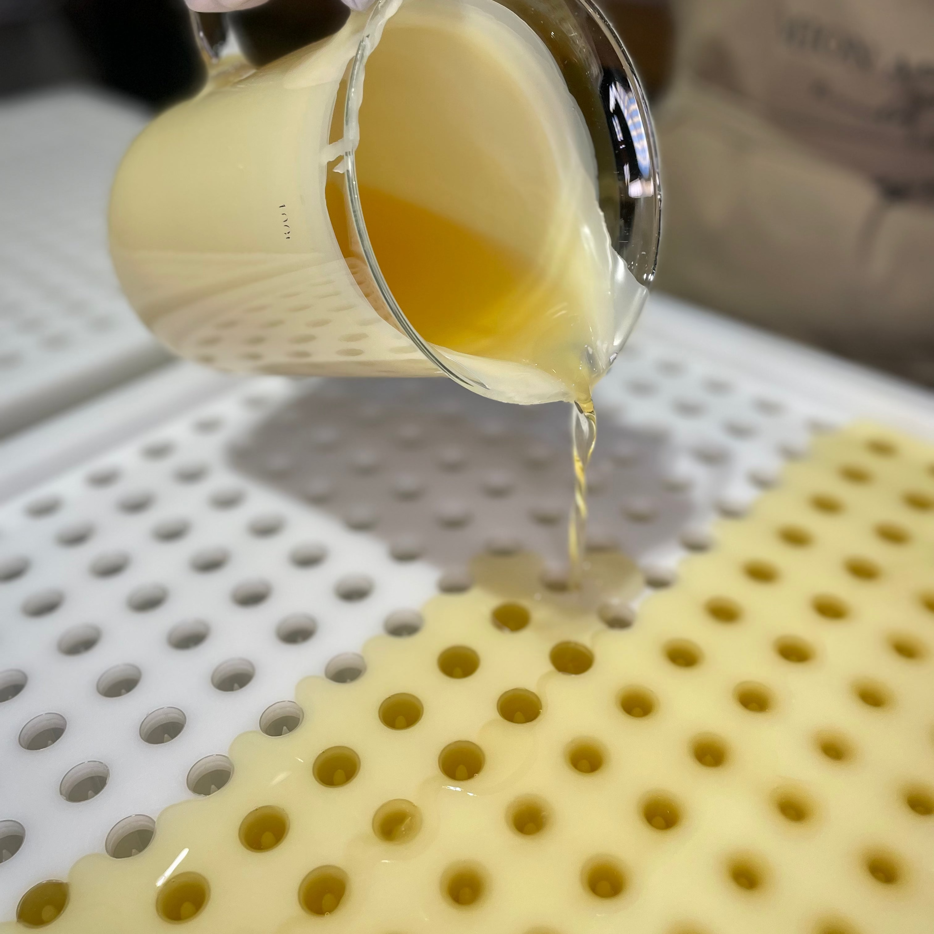 Lip Balm | Made with Cocoa & Mango Butter by MION Artisan Soap Co.