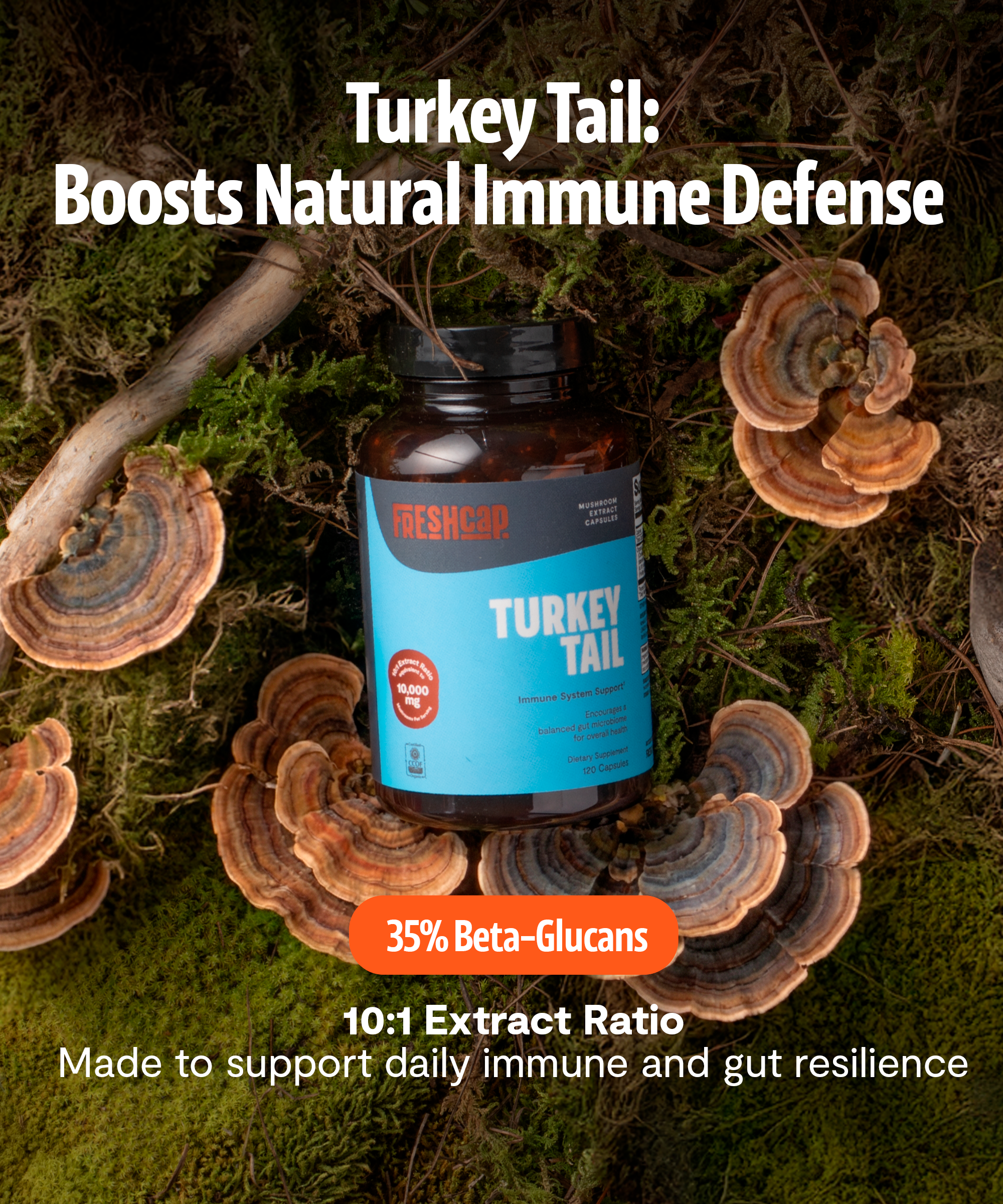 Organic Turkey Tail Mushroom Capsules by FreshCap Mushrooms