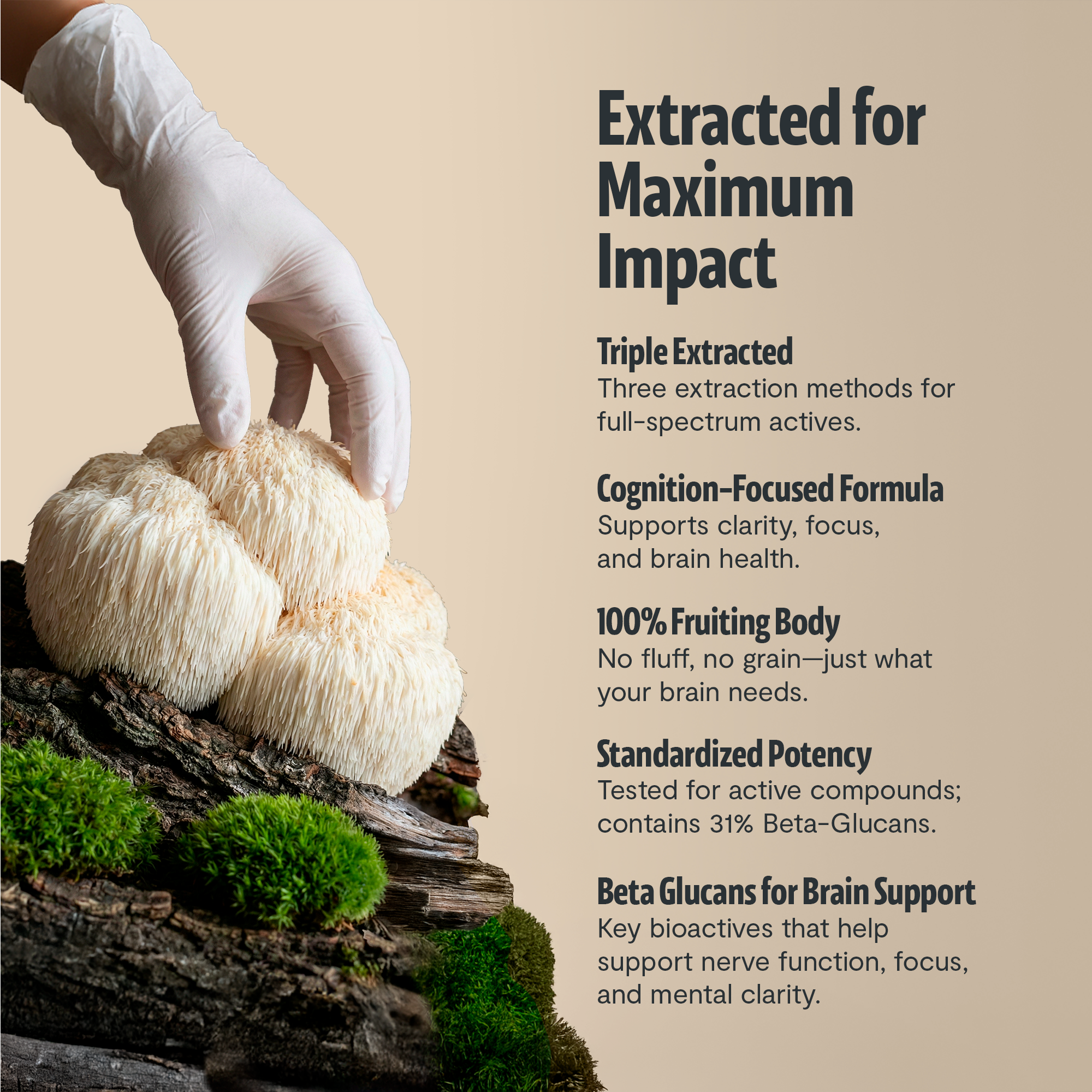Organic Lion’s Mane Capsules by FreshCap Mushrooms