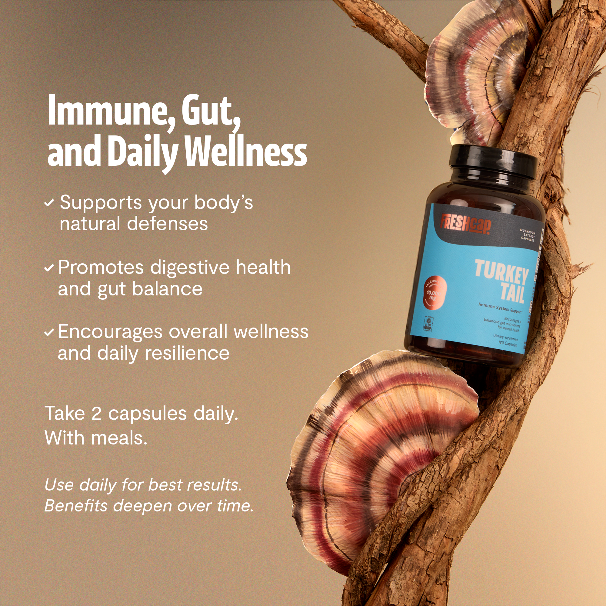 Organic Turkey Tail Mushroom Capsules by FreshCap Mushrooms