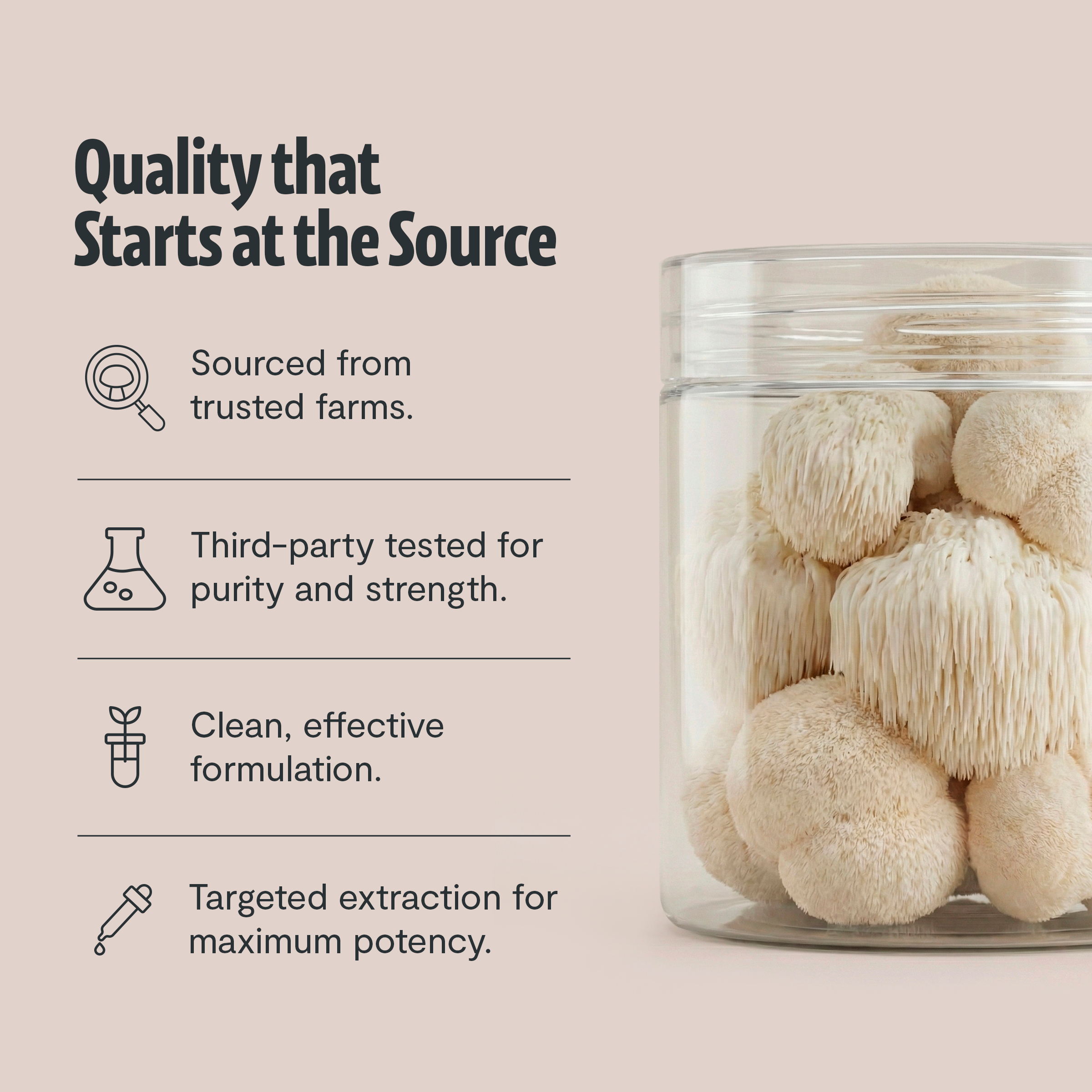 Organic Lion’s Mane Mushroom Powder by FreshCap Mushrooms