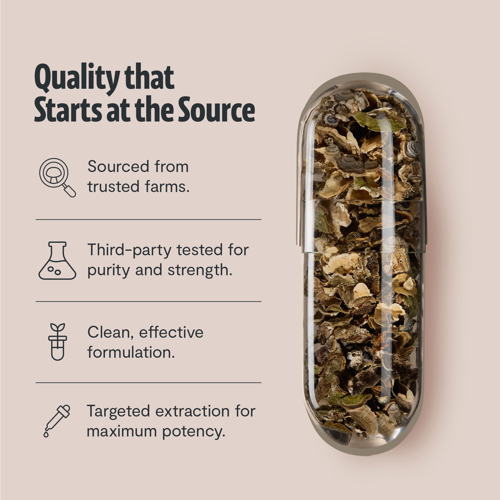 Organic Turkey Tail Mushroom Capsules by FreshCap Mushrooms