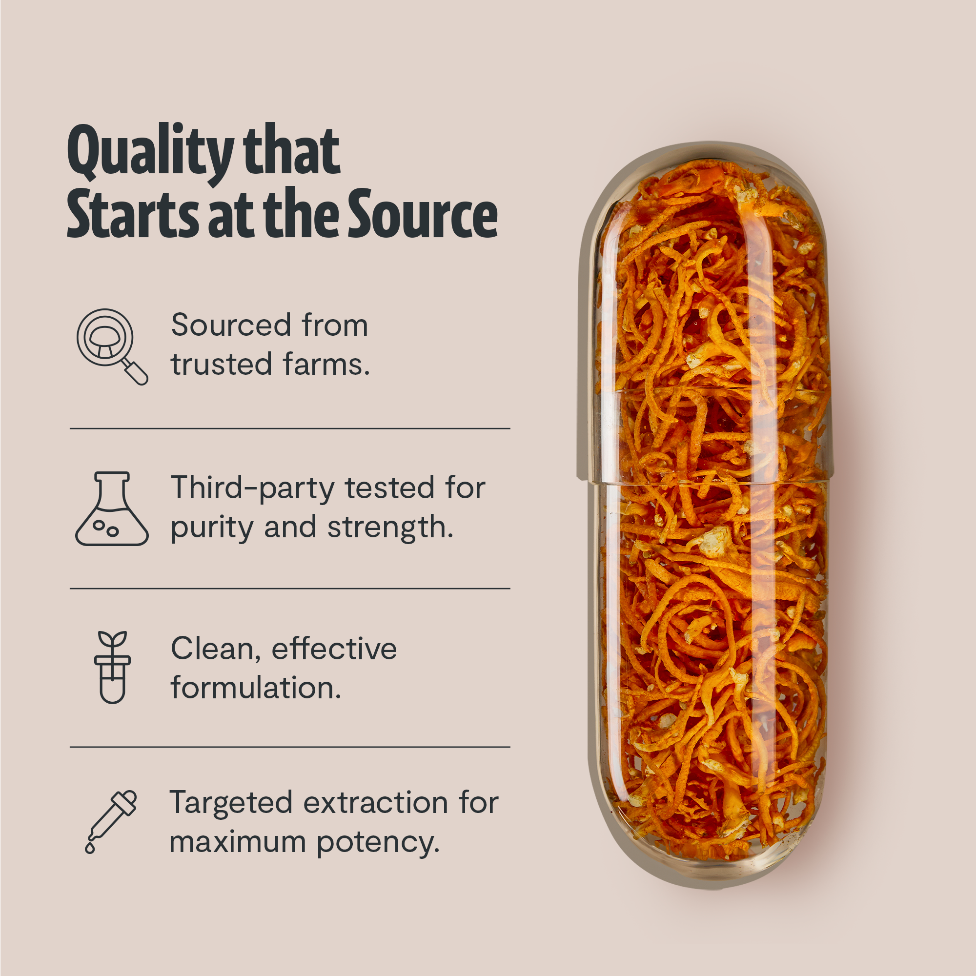 Organic Cordyceps Mushroom Supplement Capsules by FreshCap Mushrooms
