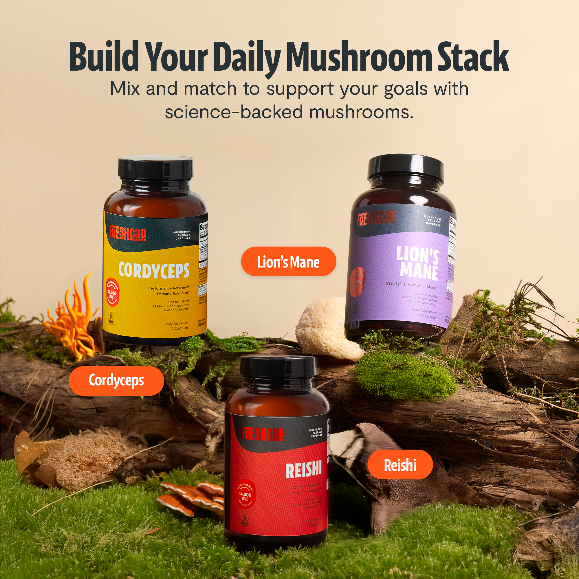 Organic Cordyceps Mushroom Supplement Capsules by FreshCap Mushrooms