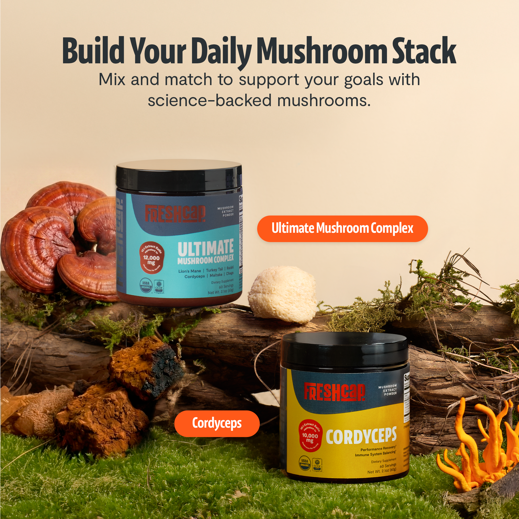 Organic Mushroom Extract Powder Blend by FreshCap Mushrooms