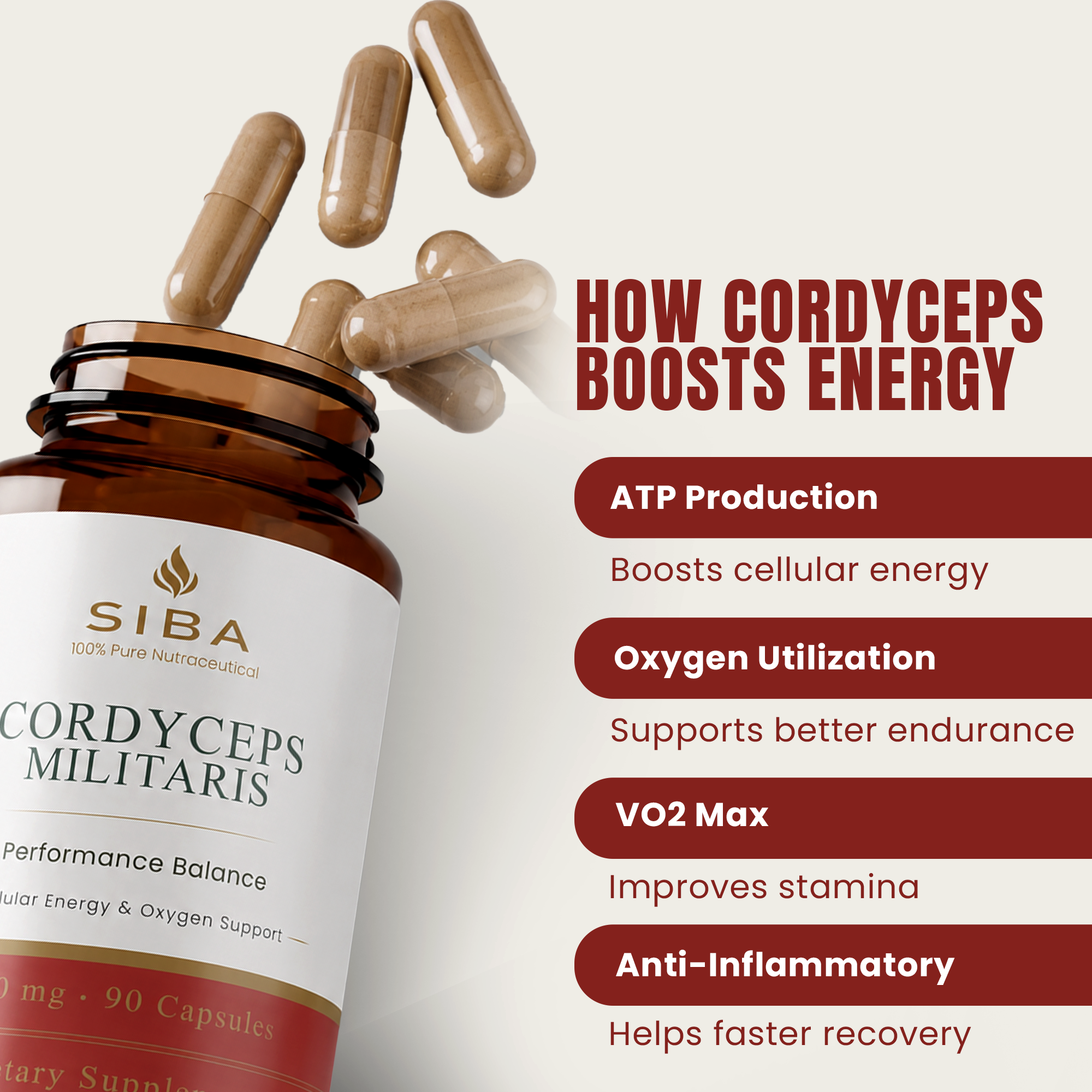 Cordyceps Militaris Mushroom Capsules by Siba Vitamins Store