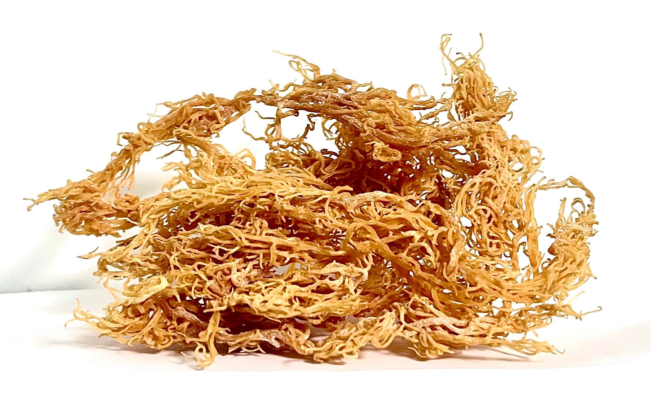 Certified Pure Wild Harvested Organic Gold Raw Sea Moss by Seamoss Global