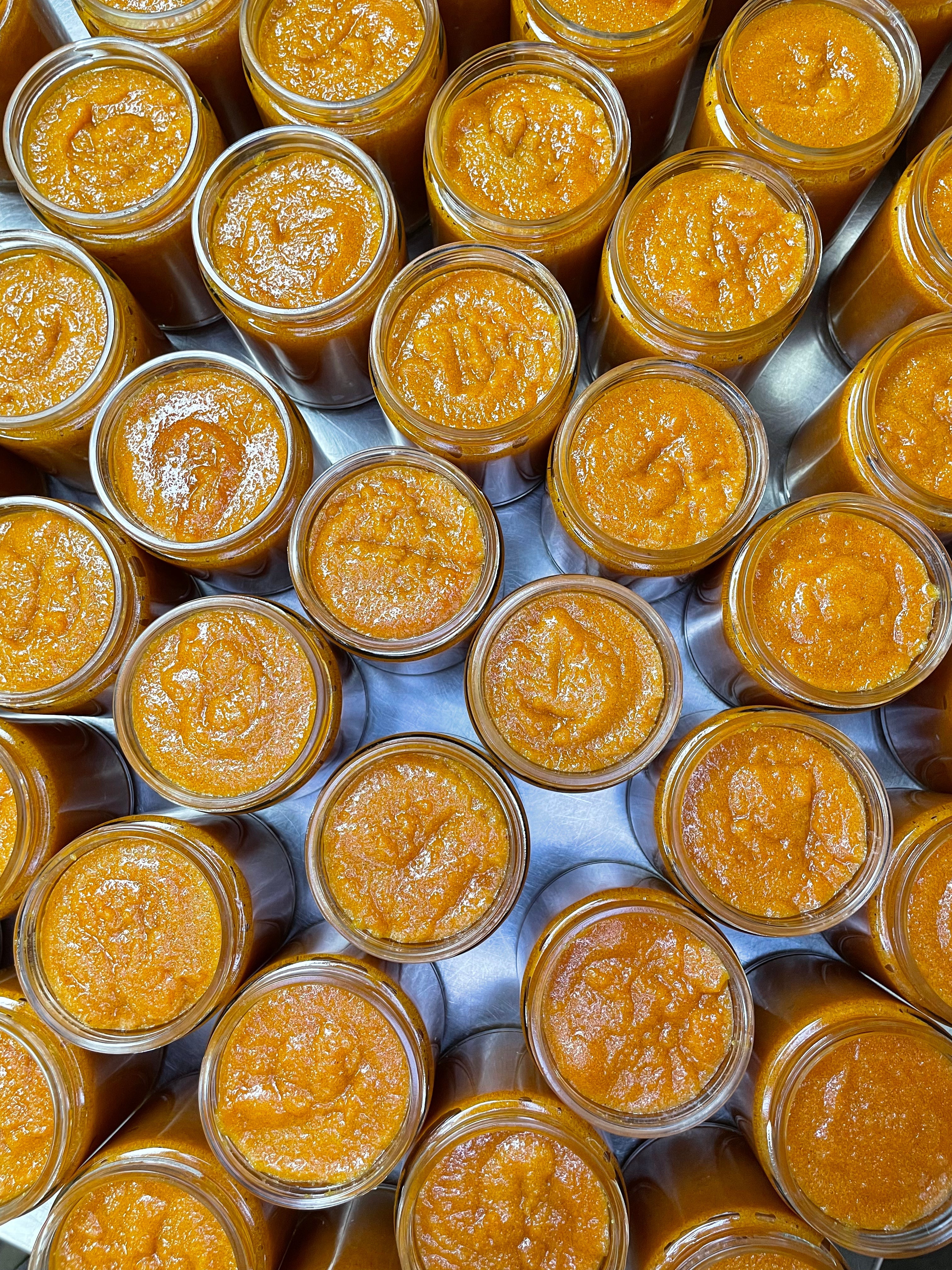 Turmeric & Ginger Sugar Scrub | Gentle by MION Artisan Soap Co.