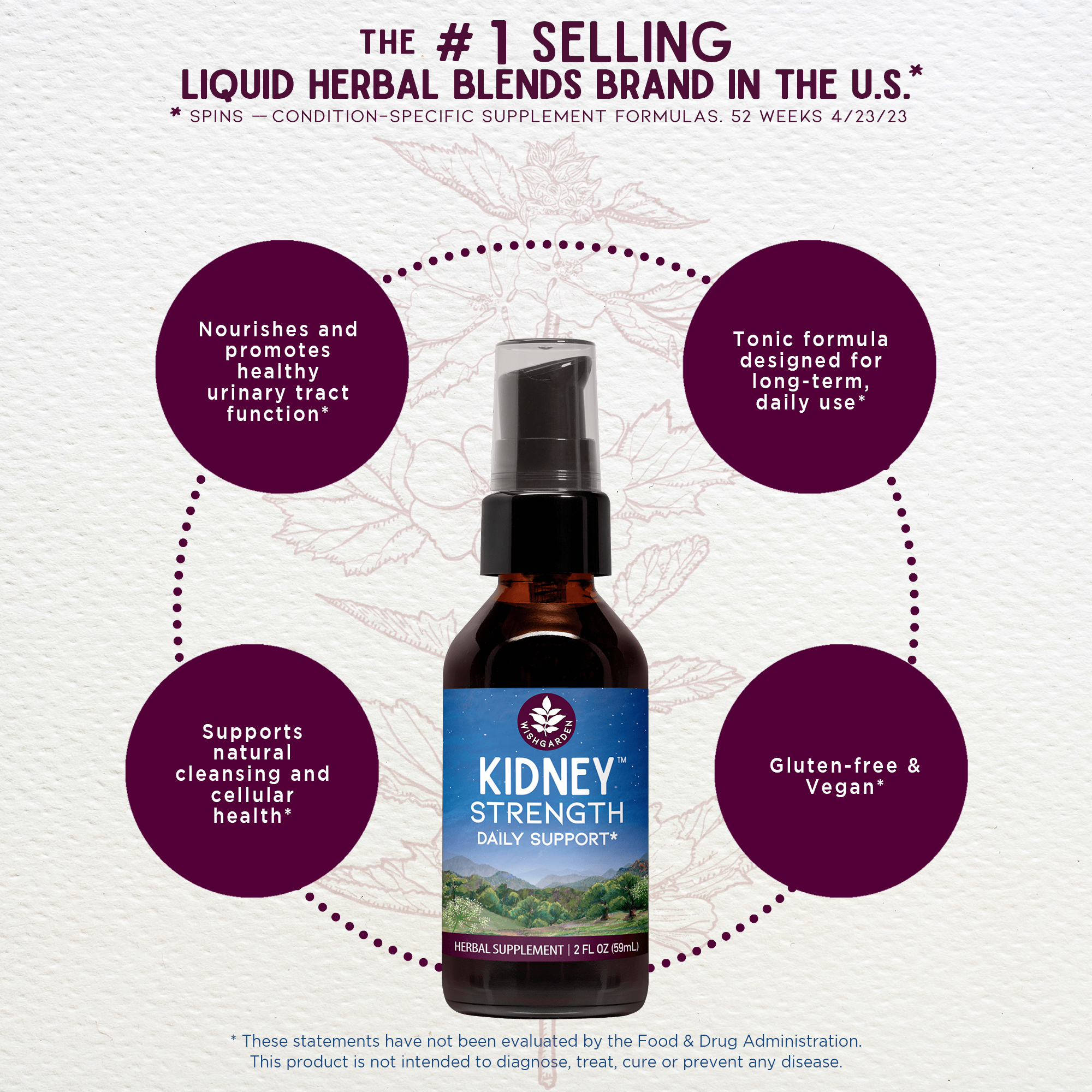 Kidney Strength, Daily Support by WishGarden Herbs