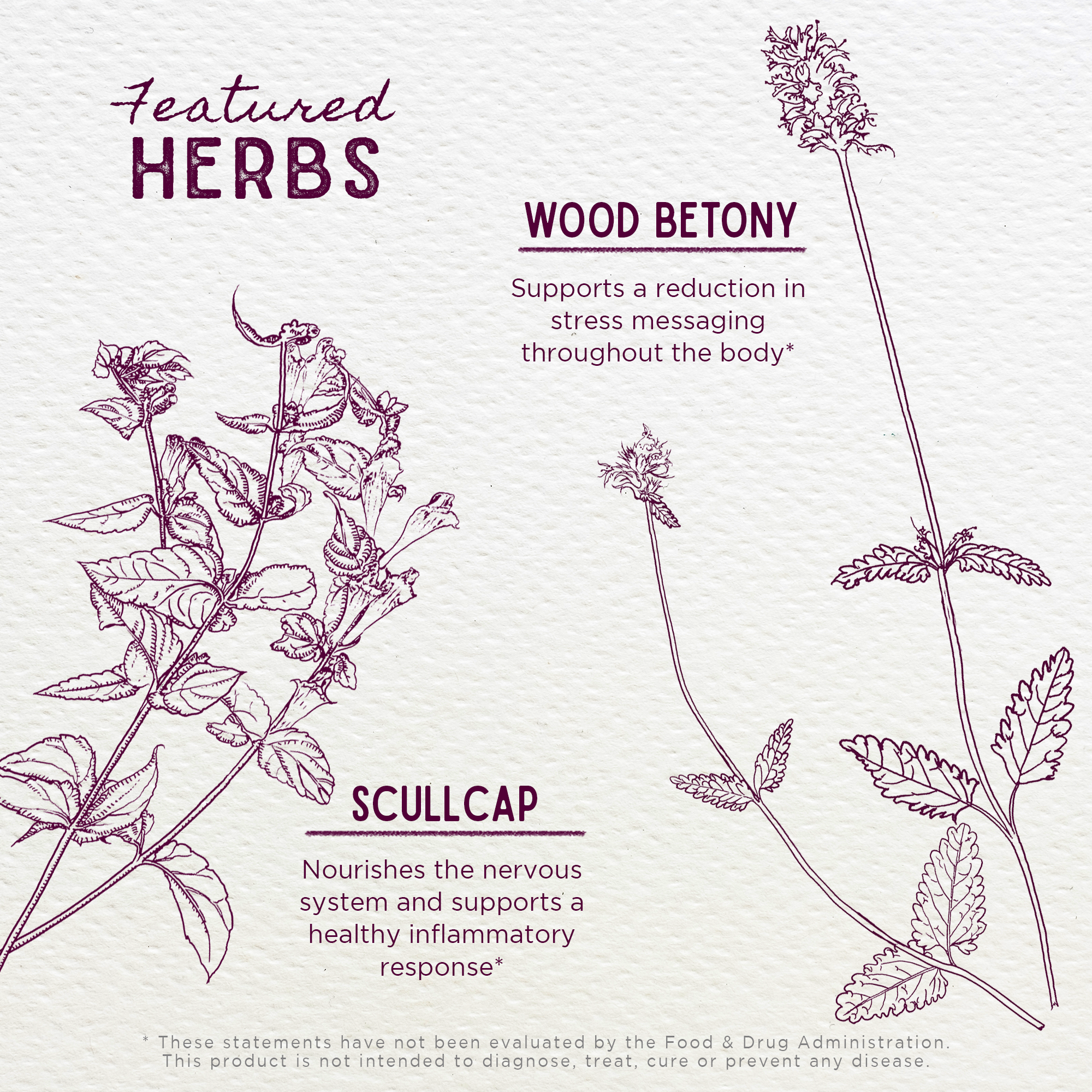 Serious Relaxer & Muscle Tension by WishGarden Herbs