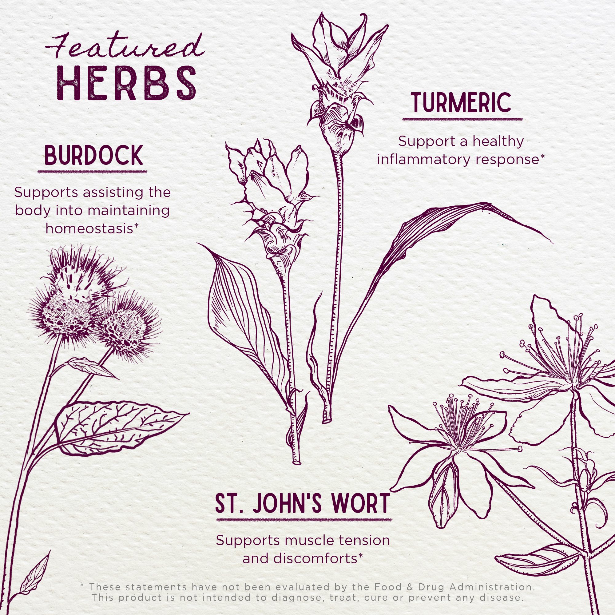 Deep Recovery, Muscular & Skeletal by WishGarden Herbs