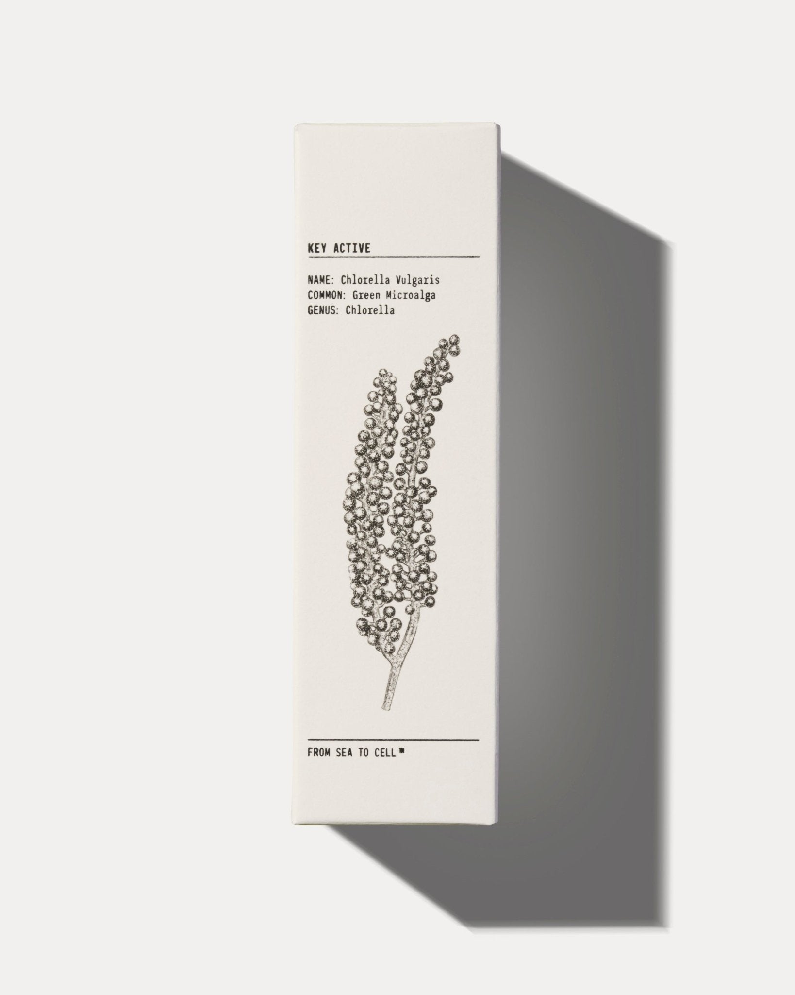 MATTIFYING MOISTURISER by YCODE