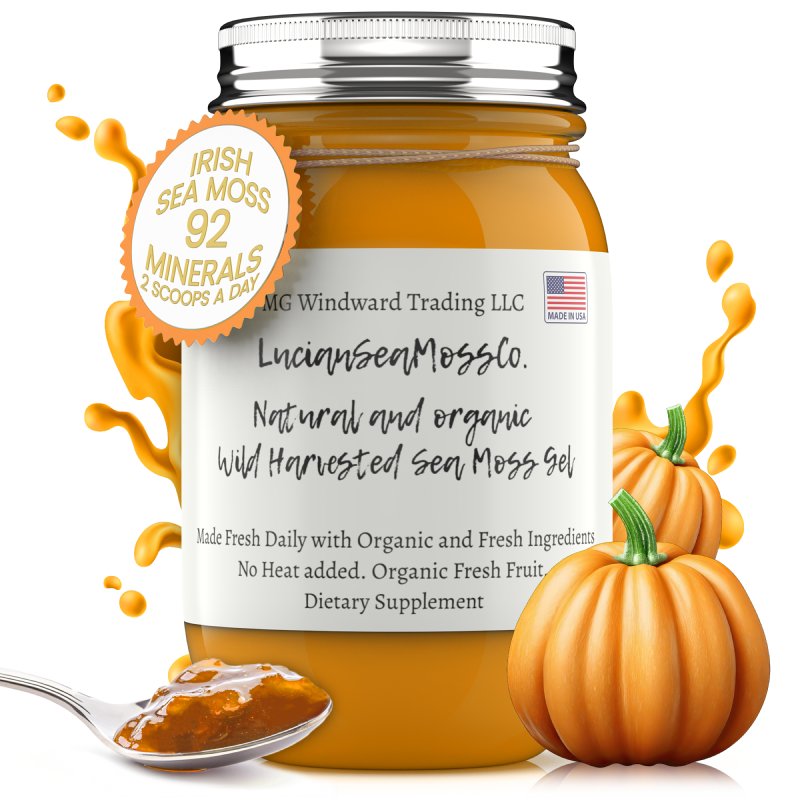 Organic Pumpkin Pie Infused Sea Moss Gel by Seamoss Global